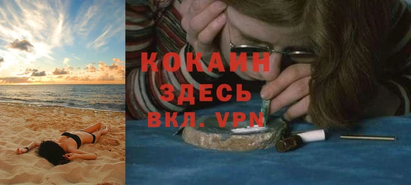метадон Алексин
