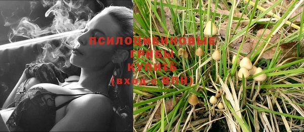 гидропоника Алзамай