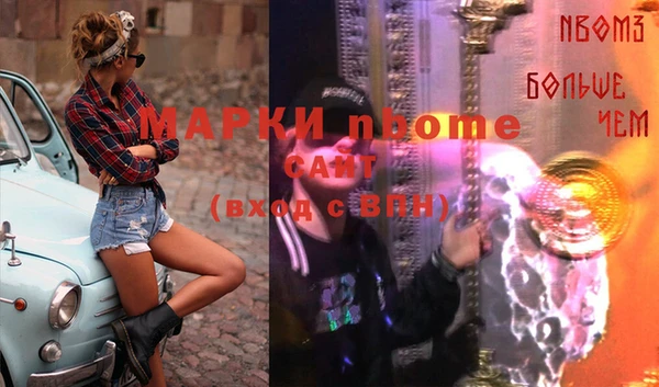 метадон Алексин