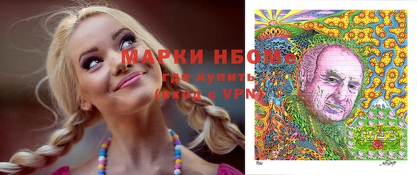 метадон Алексин