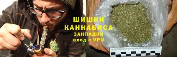 гидропоника Алзамай
