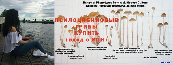 гидропоника Алзамай